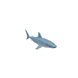 Shark